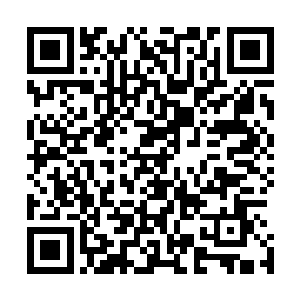 蔡家如今的势力在人家皇家的眼里根本就只是沧海一粟而已二维码生成