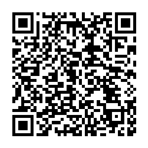 蕴藏着大量实验数据和核心机密的生化主脑记忆单元都被我们得到二维码生成