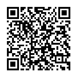 薄片里面依旧是边缘部分海绵状事物微微的一挤压便恢复原状二维码生成