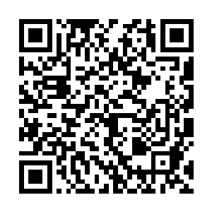 薛美凝乖巧的用手帕帮爷爷擦了擦嘴角和下巴上的茶渍二维码生成