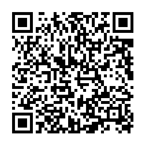 薰兒从炎龙的近乎咆哮的狂笑声中得到了答案…脑海中不停会想着那些无辜的人二维码生成