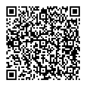 虎头妖将看了看他们 拉着风清扬來到街道的一个角落 看着不声不响跟上來的老猴子和圣皇子 目光一缩二维码生成