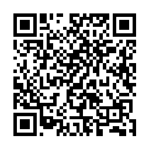 虎爷恐怕要忍受比现在还有痛苦数倍甚至十倍不止的痛苦二维码生成