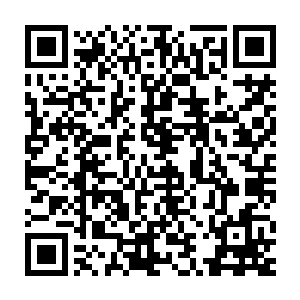 虎鲸捣蛋鬼不敢再去撩拨呼呼大睡的皮球似乎是因为一巴掌被拍醒了二维码生成