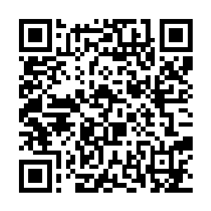 虚拟课程可不仅仅只是把文化知识填鸭式的教给他们二维码生成