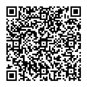 虚空中忽然传來杂毛鸟凝重的喊叫之声 可就在他刚刚开口的刹那 风清扬最后一击已经倾泻而出二维码生成