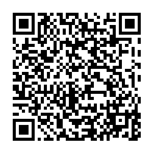 虚空陆块上无时无刻不在消耗着强者们原力的巨兽意志也随之消失二维码生成