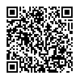 虞巫当初就是用吸收神血石能量的正确方法交换了神血石中的神血二维码生成