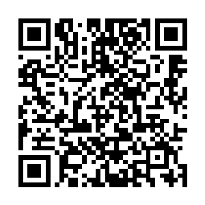 虞非现在恨不得回去告诉父母……二姐捎来的口信都是真的二维码生成