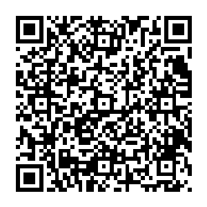 虽不明白东岛一街统领府这一次为何敢名目张胆来这边已经被南岛一街占据的领地撒野二维码生成
