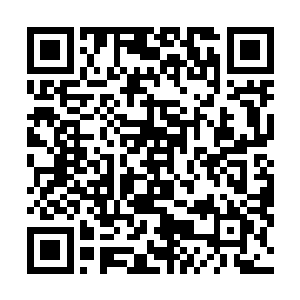 虽未行万里路却时常觉得这样的游历经历实在是裨益匪浅二维码生成