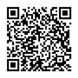 虽然七杀战技之中他只掌握了保持重心的疾风战技二维码生成