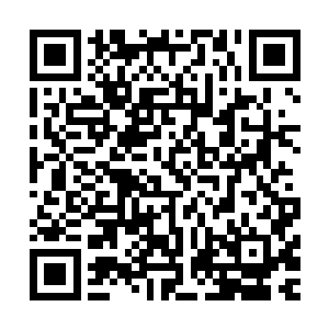 虽然不知道你们究竟在说什么……但感觉很厉害的样子啊……二维码生成