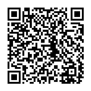 虽然不管是在原剧情中还是现实中都以一个非常娇弱的形象出现在众人面前二维码生成