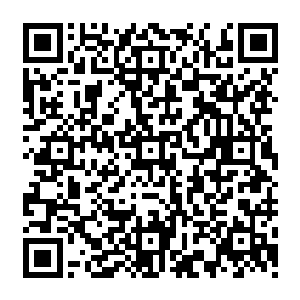 虽然之前流墨墨就严肃的交代警告他和雪如楼不管待会儿发生了什么绝对不许说话不许笑二维码生成