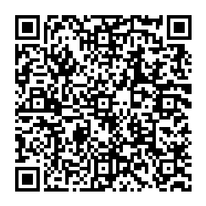 虽然乐队成员依旧不知道雨果为什么要过来欣赏后街男孩的演出――因为第一首歌根本就没有任何亮点二维码生成