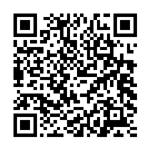 虽然仍然未能治愈心脏病――这实在是一个巨大的命题――但是二维码生成