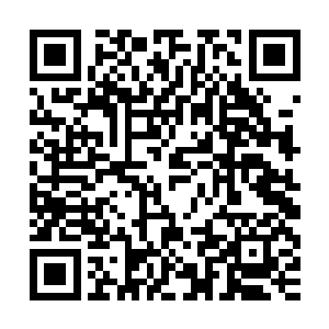 虽然他们在隐藏在神兽皮里的那处星空中看似呆了很长一段时间二维码生成