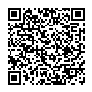 虽然他对白兰这样做的目的是为了把他培养成一只猫的小弟仍然十分不满二维码生成