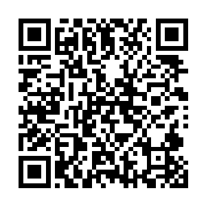 虽然他暂时失去了侵入式扫描和自动战术分析程序的辅佐二维码生成