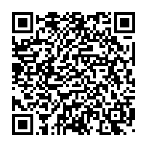 虽然伤口被弄的焦黑一片但刚才还流血不止的伤口已经停止了渗血二维码生成