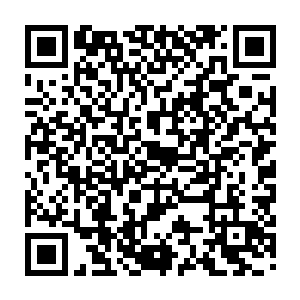 虽然你的粉丝群和那些主流读者群体有些差异……但占到的市场份额也不小二维码生成