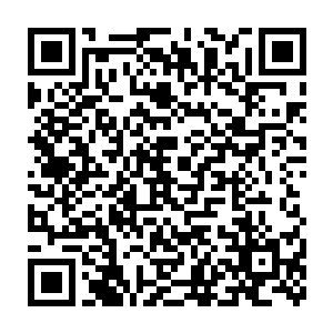 虽然佣兵团在意识到对手人数不多之后也试图展开稳打稳扎的围捕二维码生成