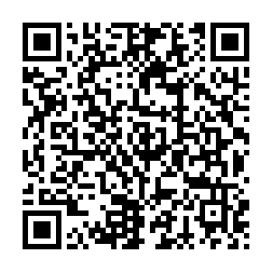 虽然几个月前他们就对这个暗卫首领从小教导他们要奉献一生的主子二维码生成
