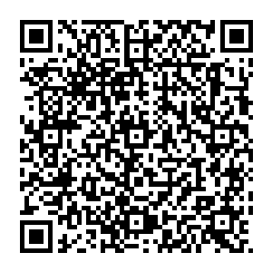 虽然凡儿没有参加但是凡儿自从出生便已经知道了古杨家遗址在那场大战之后便彻底的封印在了昆仑山下二维码生成