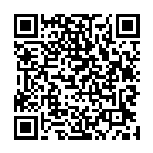 虽然在徐家满门英杰的盛名之下这位楚家家主显得名气一般二维码生成