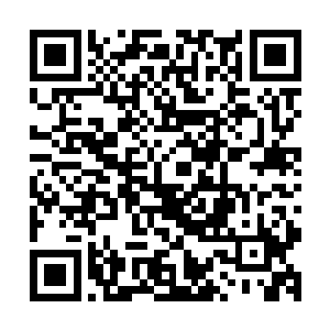 虽然在探索通天塔的过程中也修炼了一身登峰造极的奇功绝艺二维码生成