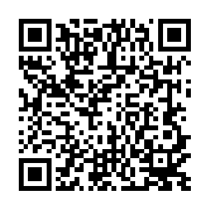 虽然在苏凡每次拳势将尽的时候都会有一个极小的爆发二维码生成