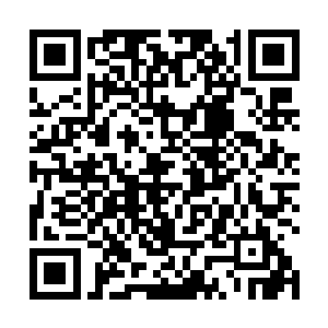 虽然在苏叶还没开始测试墨言奏的时候就已经进厨房了二维码生成