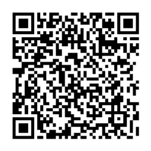 虽然大家都知道雨果这是在学习发表祝酒辞之前用刀叉敲打香槟酒杯的动作二维码生成