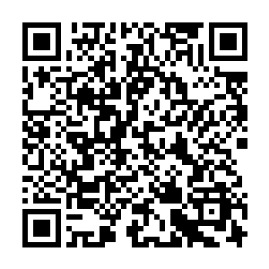 虽然大江的考试成绩距离本来就已经很低的服务学校录取分数线还有一小段距离二维码生成