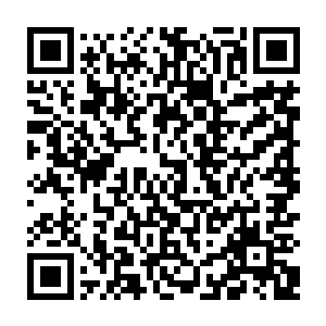 虽然大量吸收寒冰界的精灵宝钻也就等同于开始吸收寒冰界充裕精纯的灵气了二维码生成