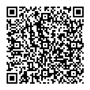 虽然她其实挺好奇为什么墓主人会把这些被他杀死又诅咒着他的死人们的尸骨收集放在自己的坟墓里二维码生成