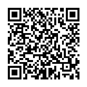 虽然对于林放表现出来的实力和神秘有些不由自主的心生畏惧二维码生成