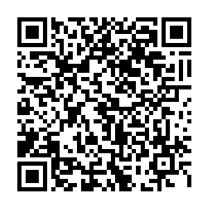 虽然对流墨墨的年纪眼里闪过惊讶但也只是看了一下又淡漠的转回头继续聊天二维码生成