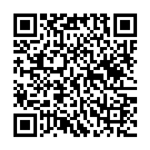 虽然已经在百面魔皇的领域之中见识过了魔皇的强大与可怕二维码生成