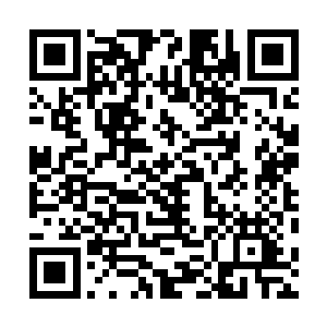 虽然我不清楚你用什么办法保住了你的女人不被我伤害到二维码生成