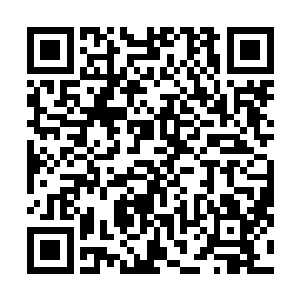 虽然我在拒绝被警察带走的时候把责任推到瑞典治安上面二维码生成