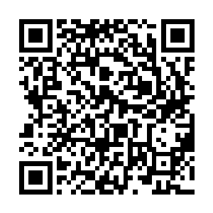 虽然我的确是一字不漏把六本手抄本里内容尽数熟记二维码生成