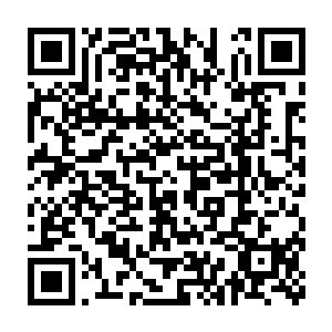 虽然我还可以慢慢劝服你……不过你还是给了我一个很不错的建议……二维码生成