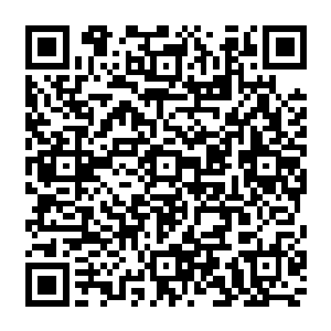 虽然最终将头撞进了玄冰柱子上不过人没事已经万幸了敢徐福和巴克两人心里一定很不滋味二维码生成