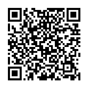 虽然样子很惨 但是赵纯良的身体 总算是换住 停了下來二维码生成