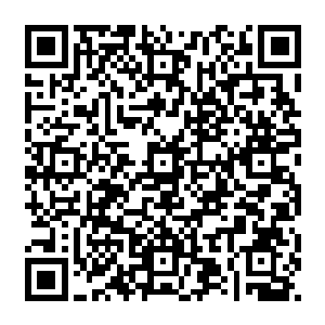 虽然每隔一段时间就会蜕皮进阶一次……虽然每次进阶在这里面都不存在任何风险……二维码生成