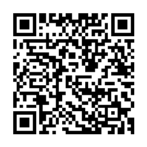 虽然没有来得及和林氏家族及其合作伙伴家族的重要成员们会面二维码生成