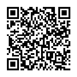 虽然现在县里已经在有意识的打造全县速生林和竹资源基地二维码生成