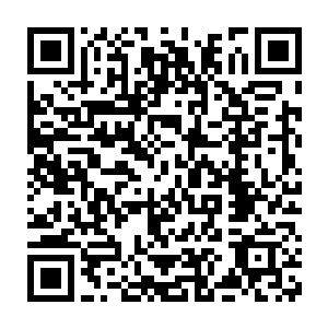 虽然现在暂时没事……但是最好还是要做支架手术和心脏起搏器的……二维码生成